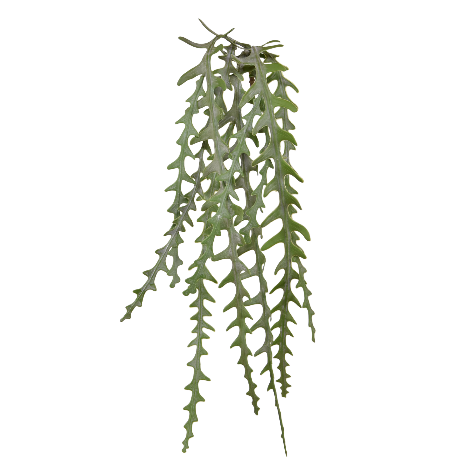 Epiphyllum Kunsthangplant - Zaagcactus - 60cm