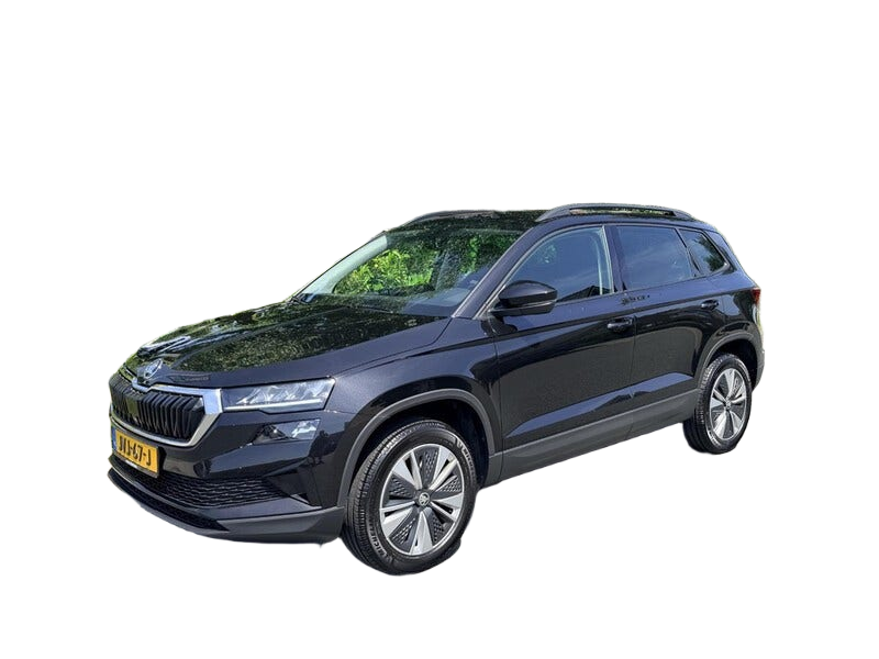 Skoda Karoq occasion
