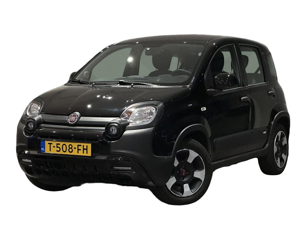Fiat Panda occasion