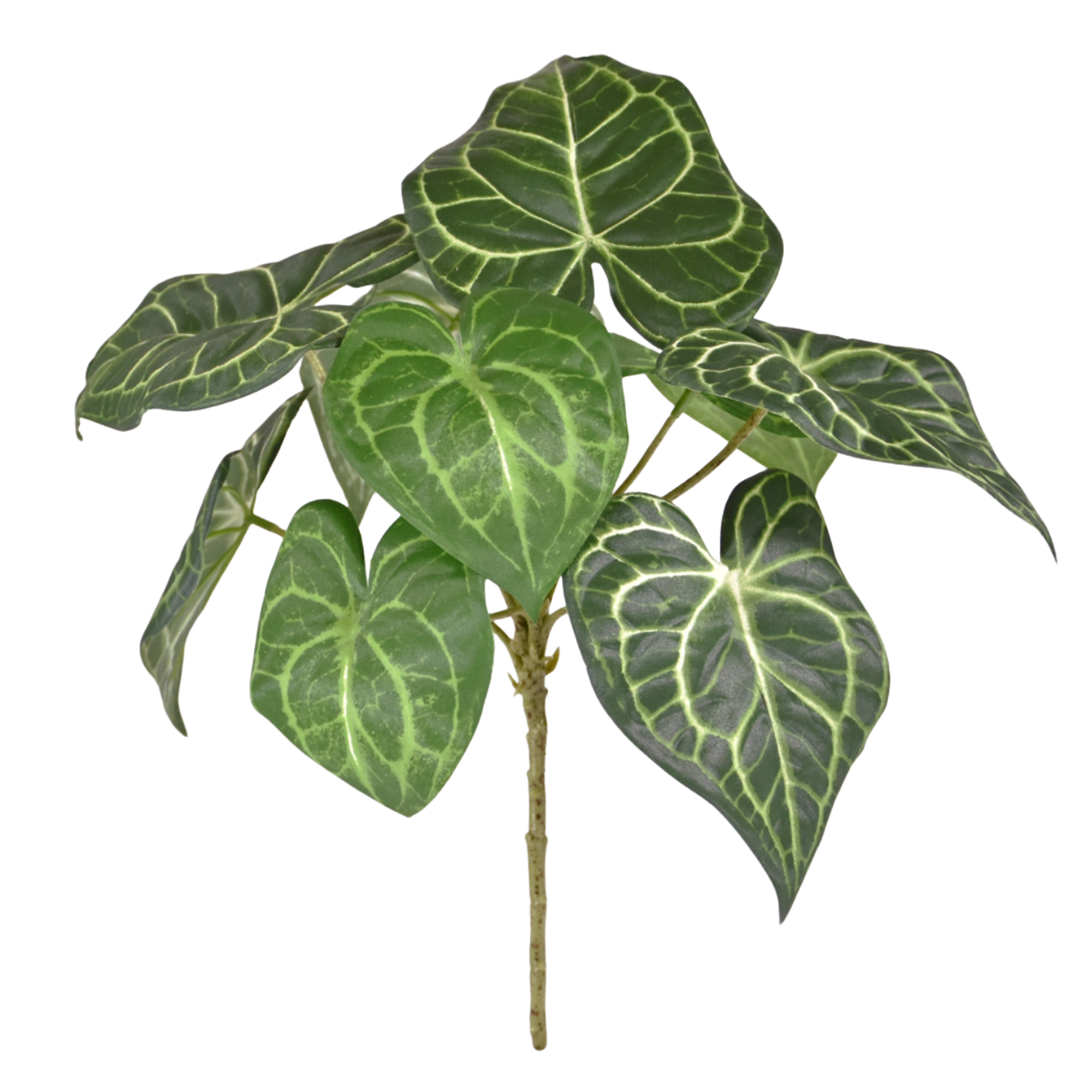 Anthurium Clarinervium kunstplant 30cm