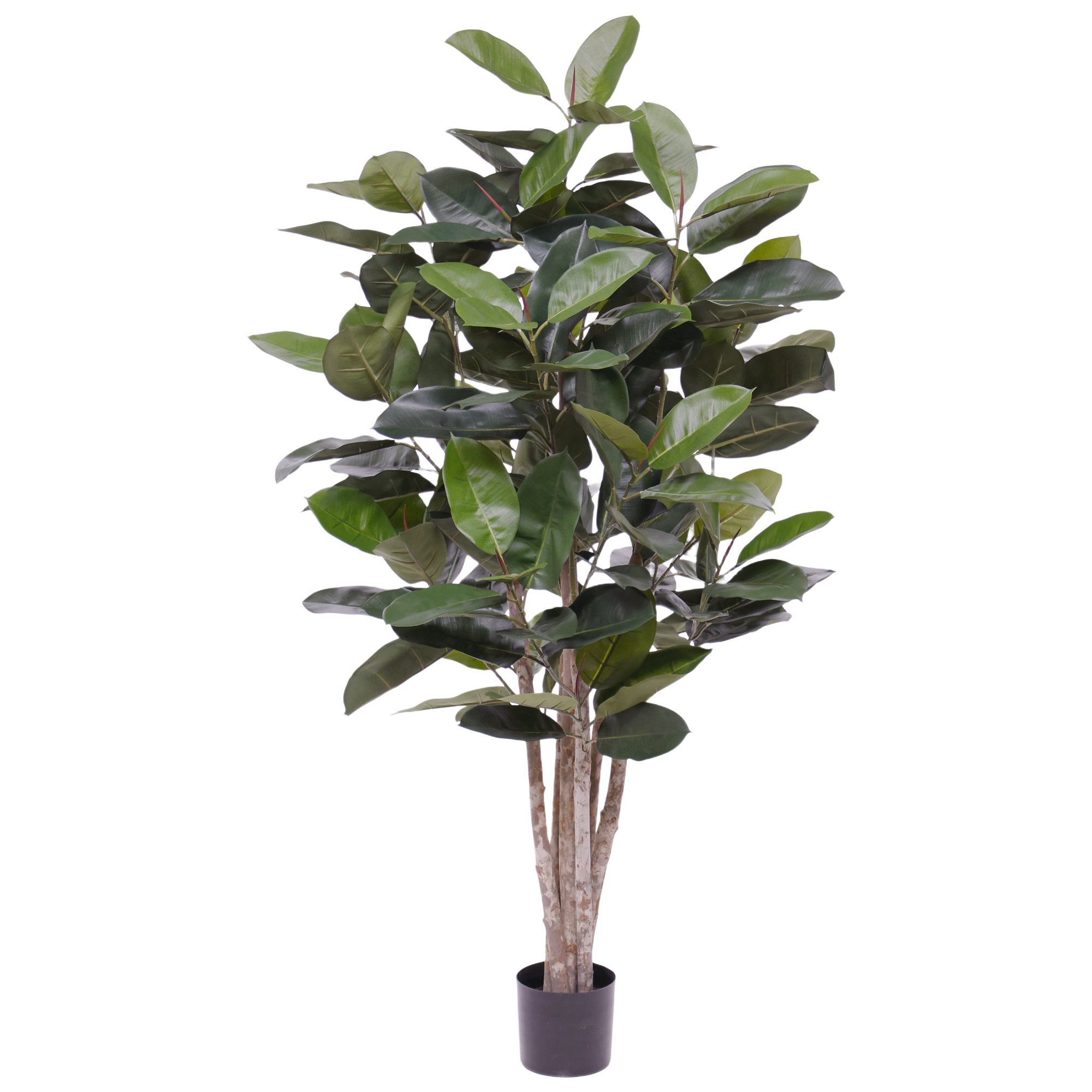 Elastica Robusta kunstplant 170cm groen