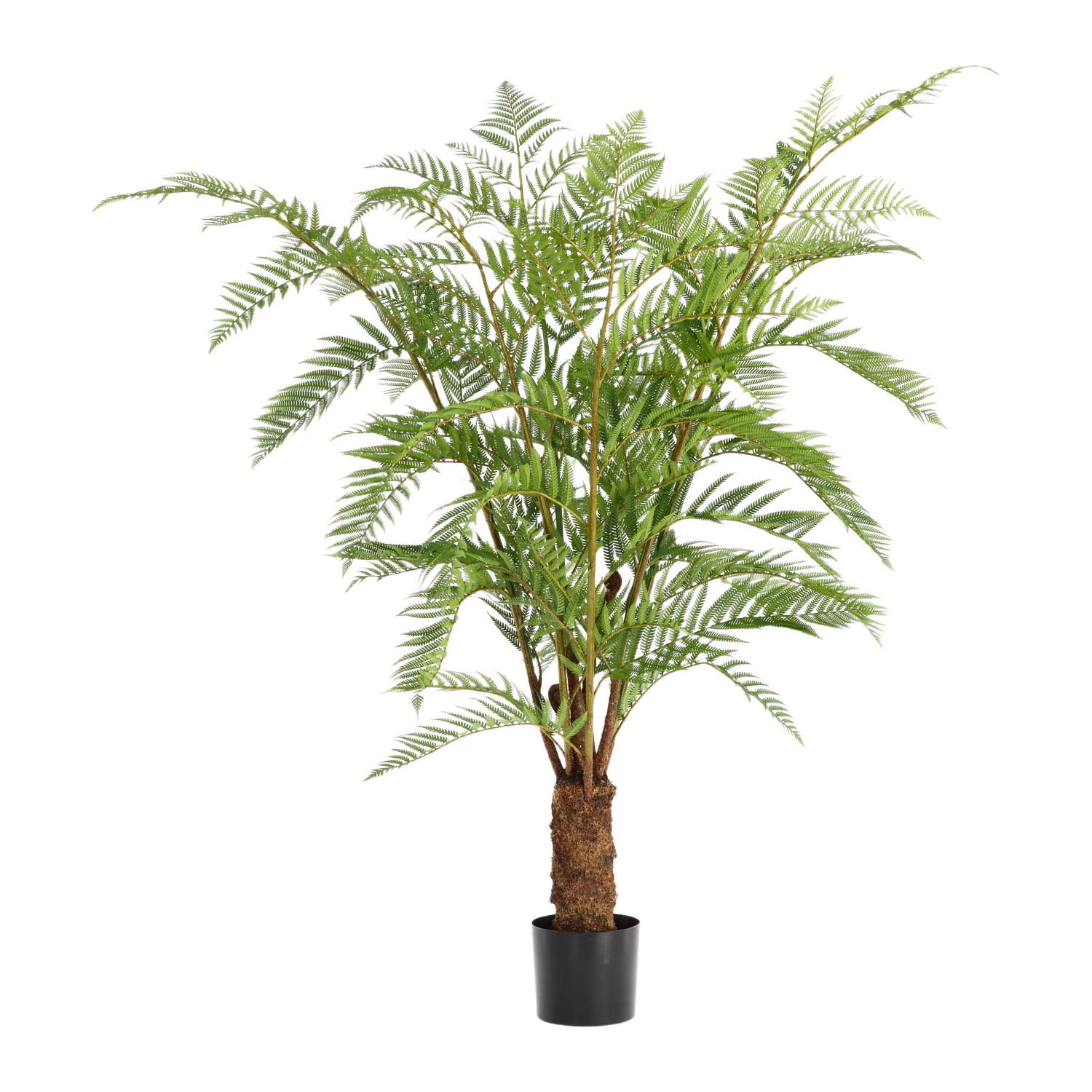 Woodwardia Kunstpalm Deluxe 150cm