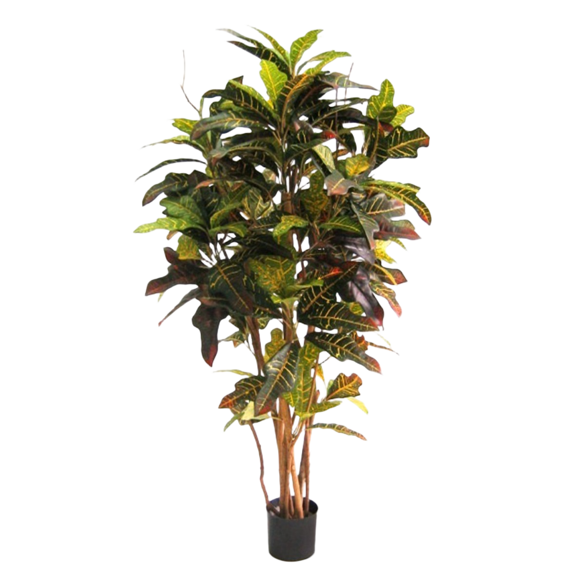 Croton deluxe kunstboom 130cm