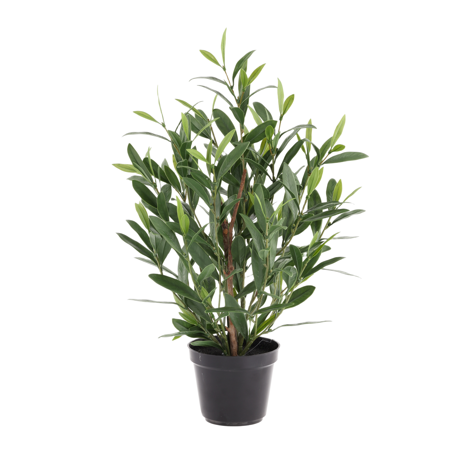 Olijf kunstplant 50cm UV in kweekpot