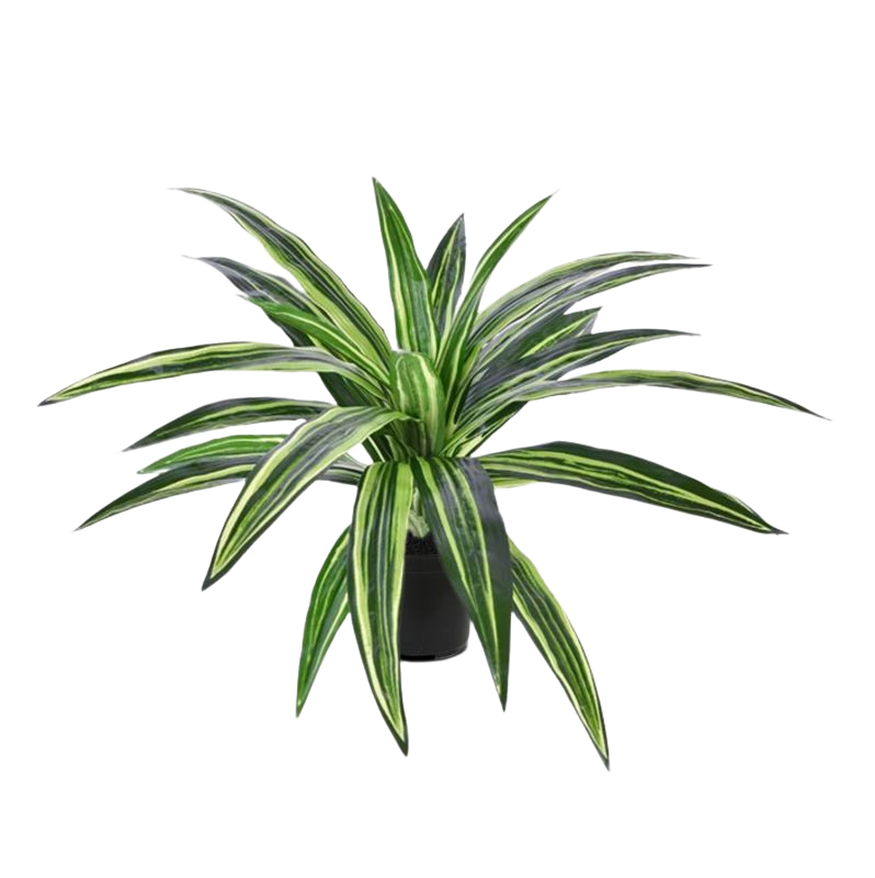 Draceana Massangeana kunstplant 40cm groen in pot