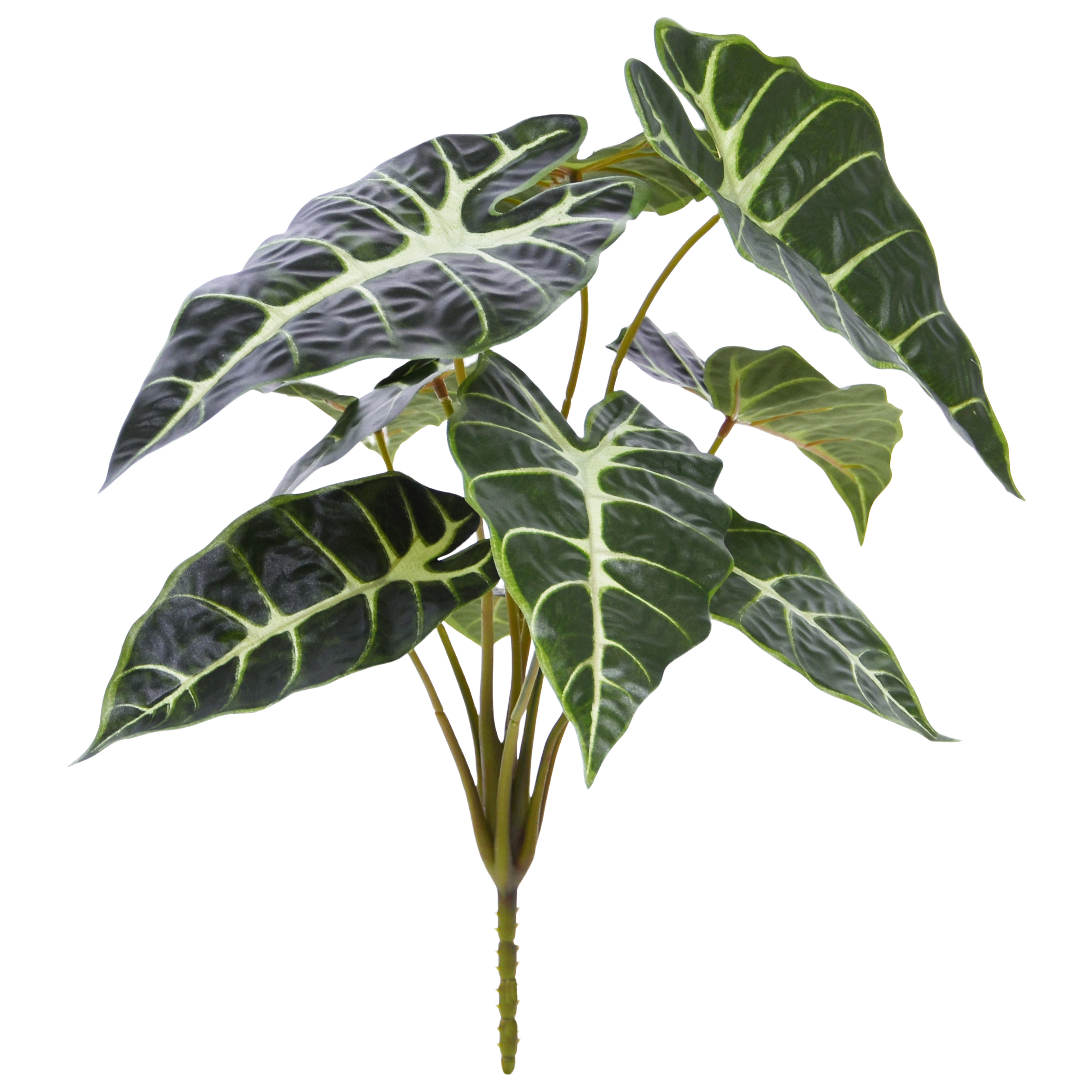 Alocasia Kunstplant Promo 40cm groen