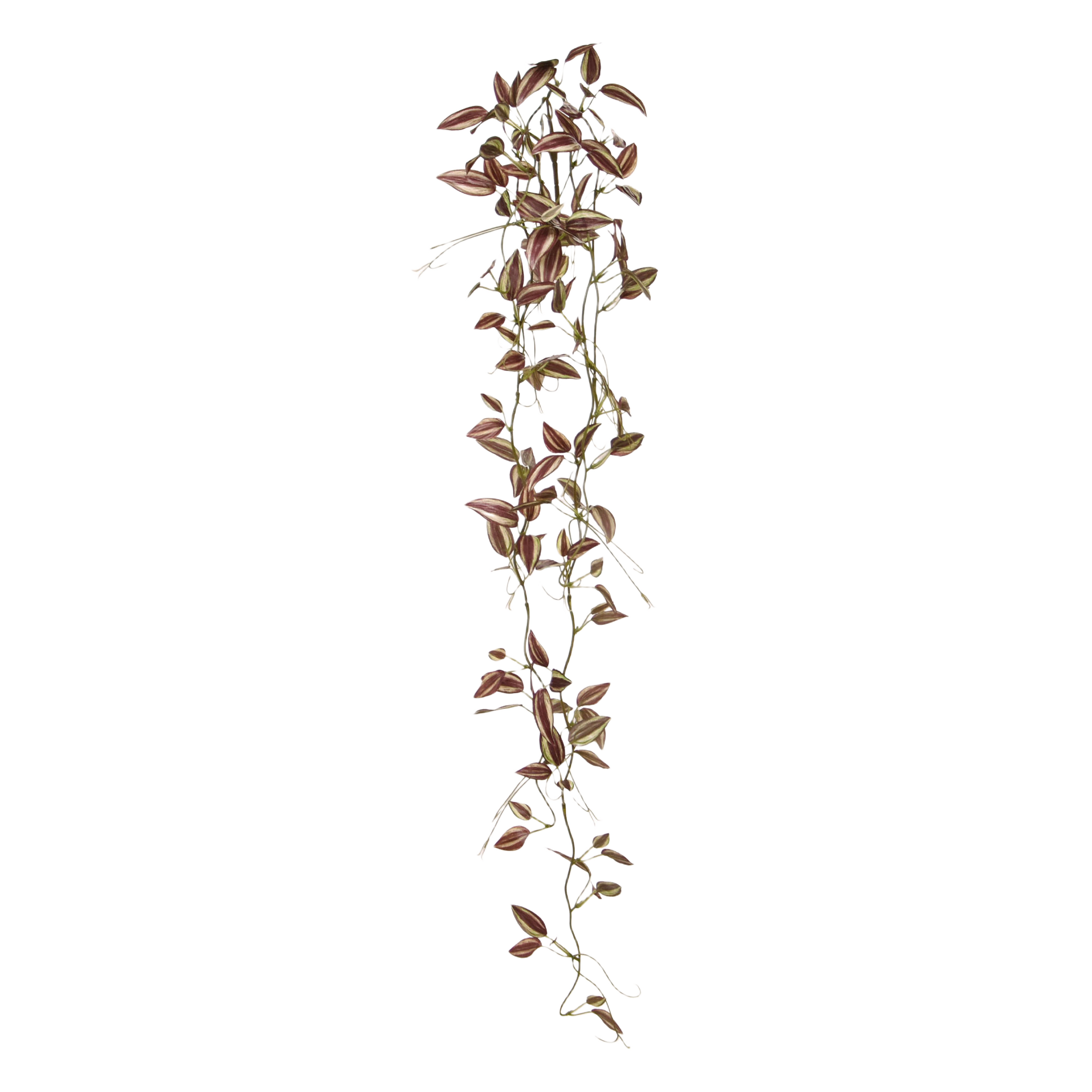 Tradescantia Kunsthangtak paars 80cm