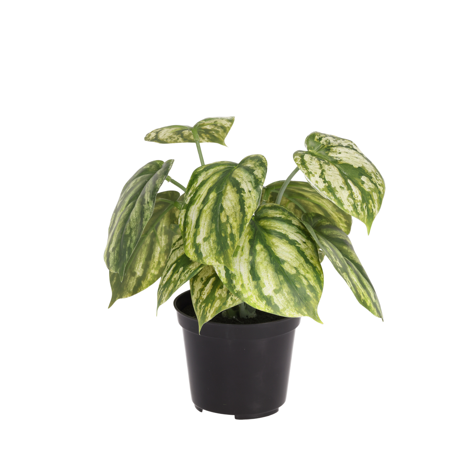 Peperomia Gold Dust kunstplant 20cm in kweekpot