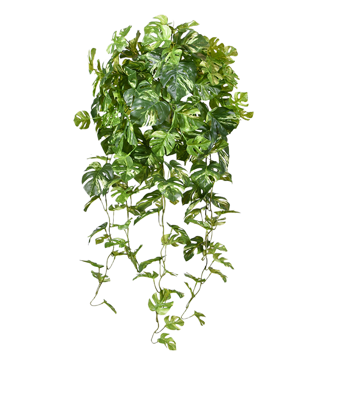 Monstera kunst hangplant 80cm - bont