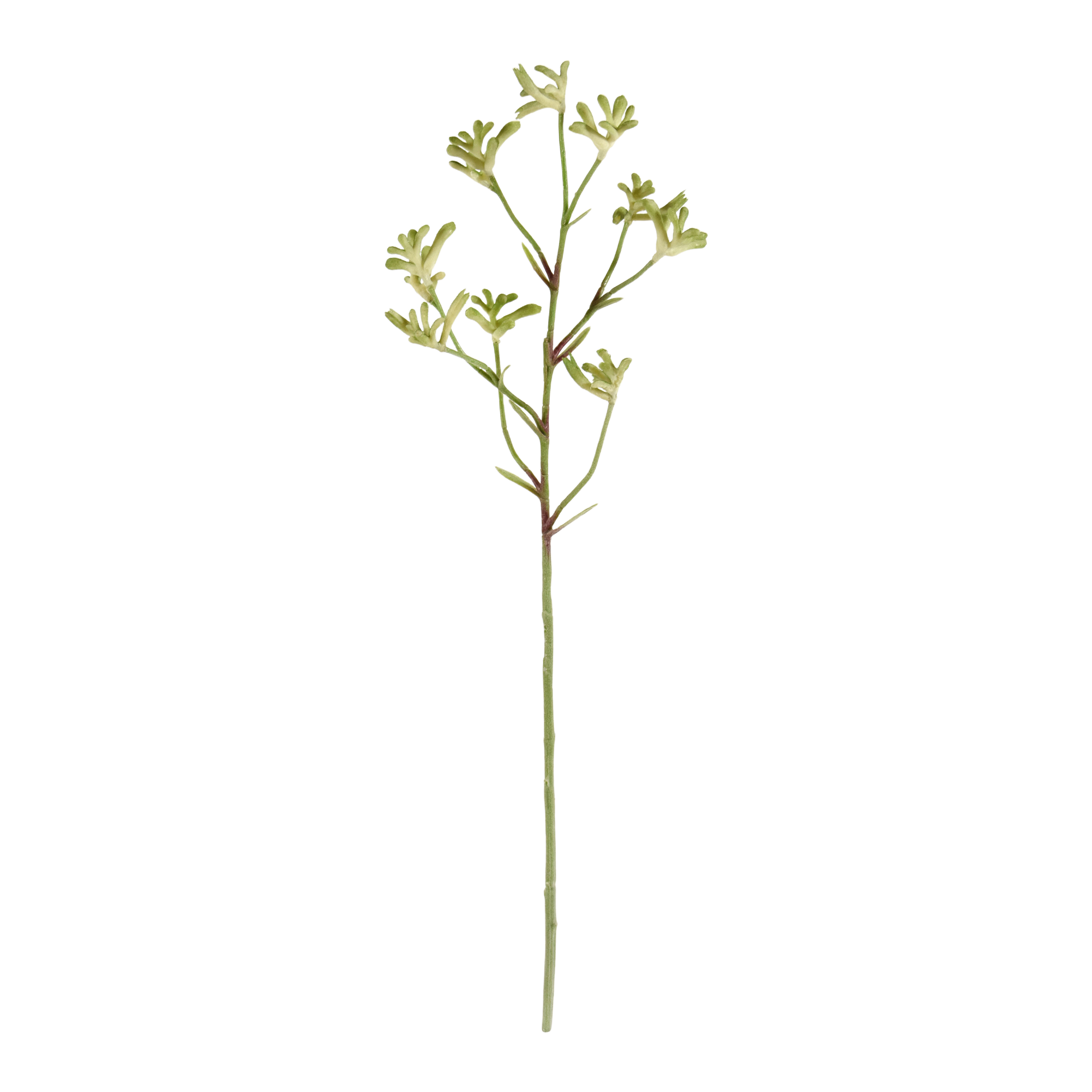 Kangaroepoot tak 70cm - groen