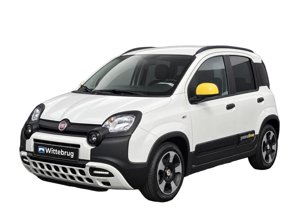 Fiat Pandina
