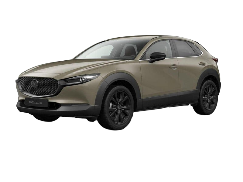 Mazda CX 30 occasion