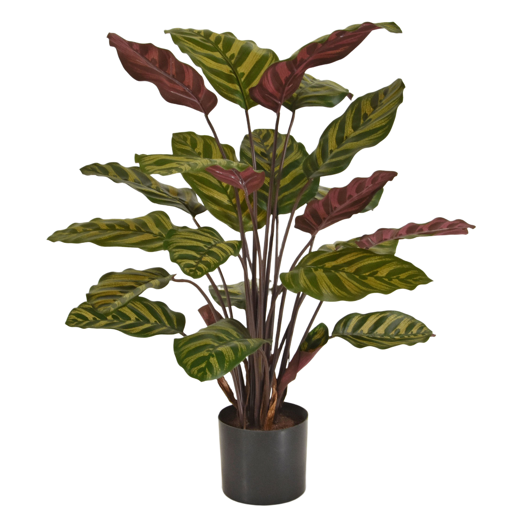 Red Calathea Makoyana kunstplant 60cm