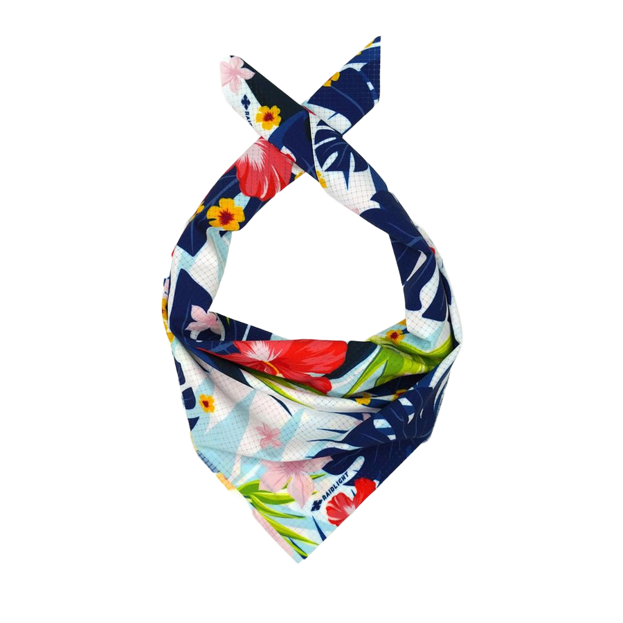 Raidlight Ecodry Bandana