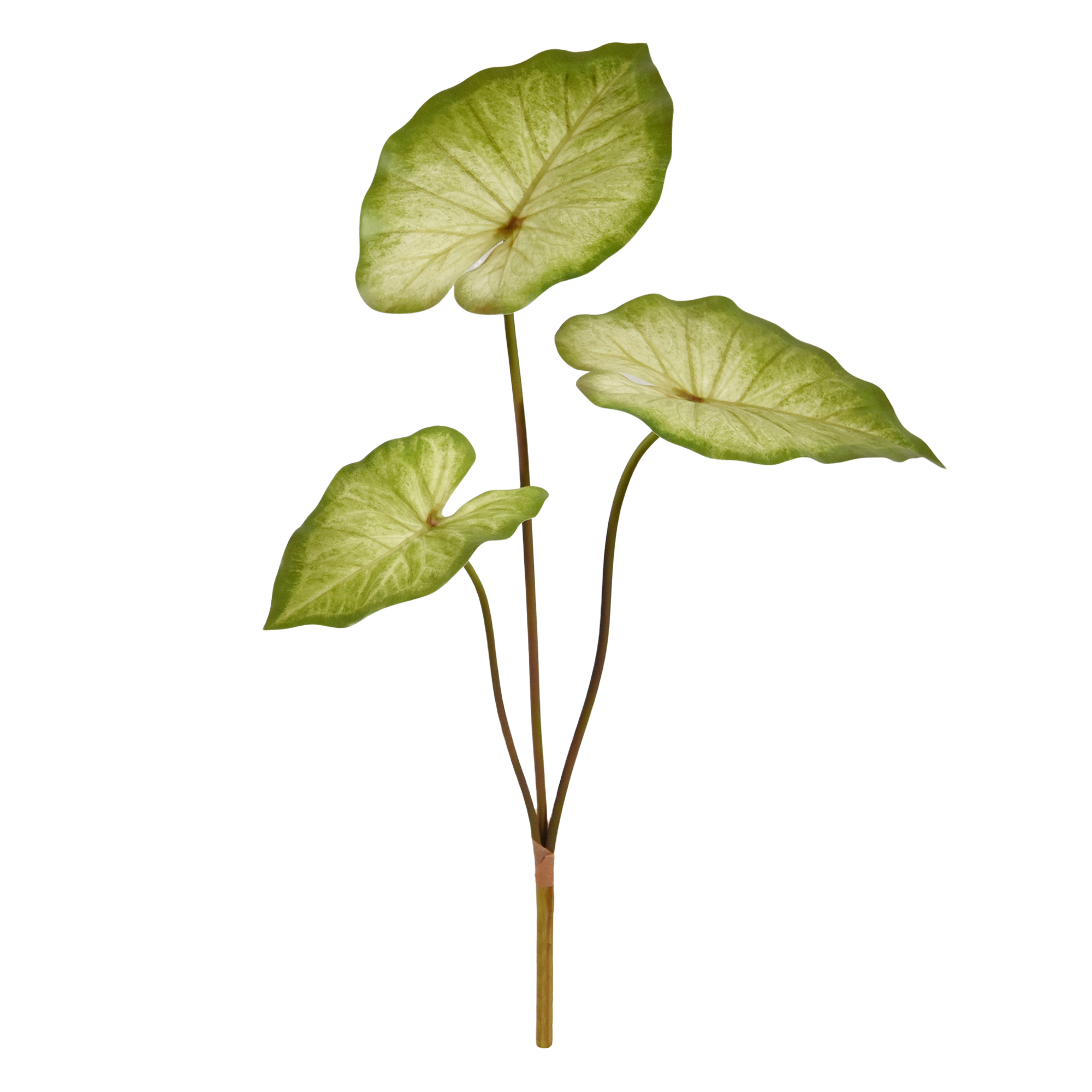 Caladium Aaron Kunstplant 60cm
