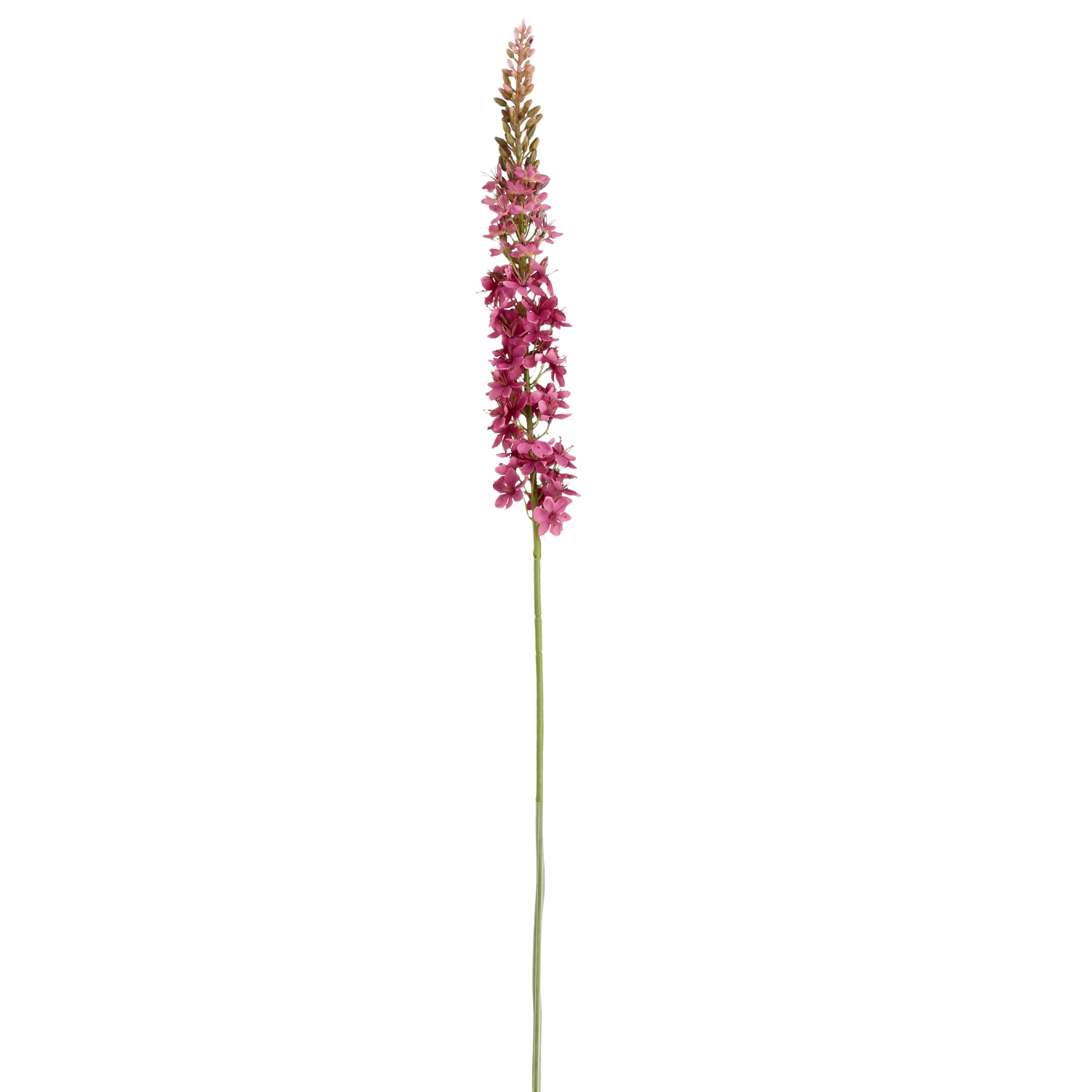 Eremurus Kunsttak 110cm Paars
