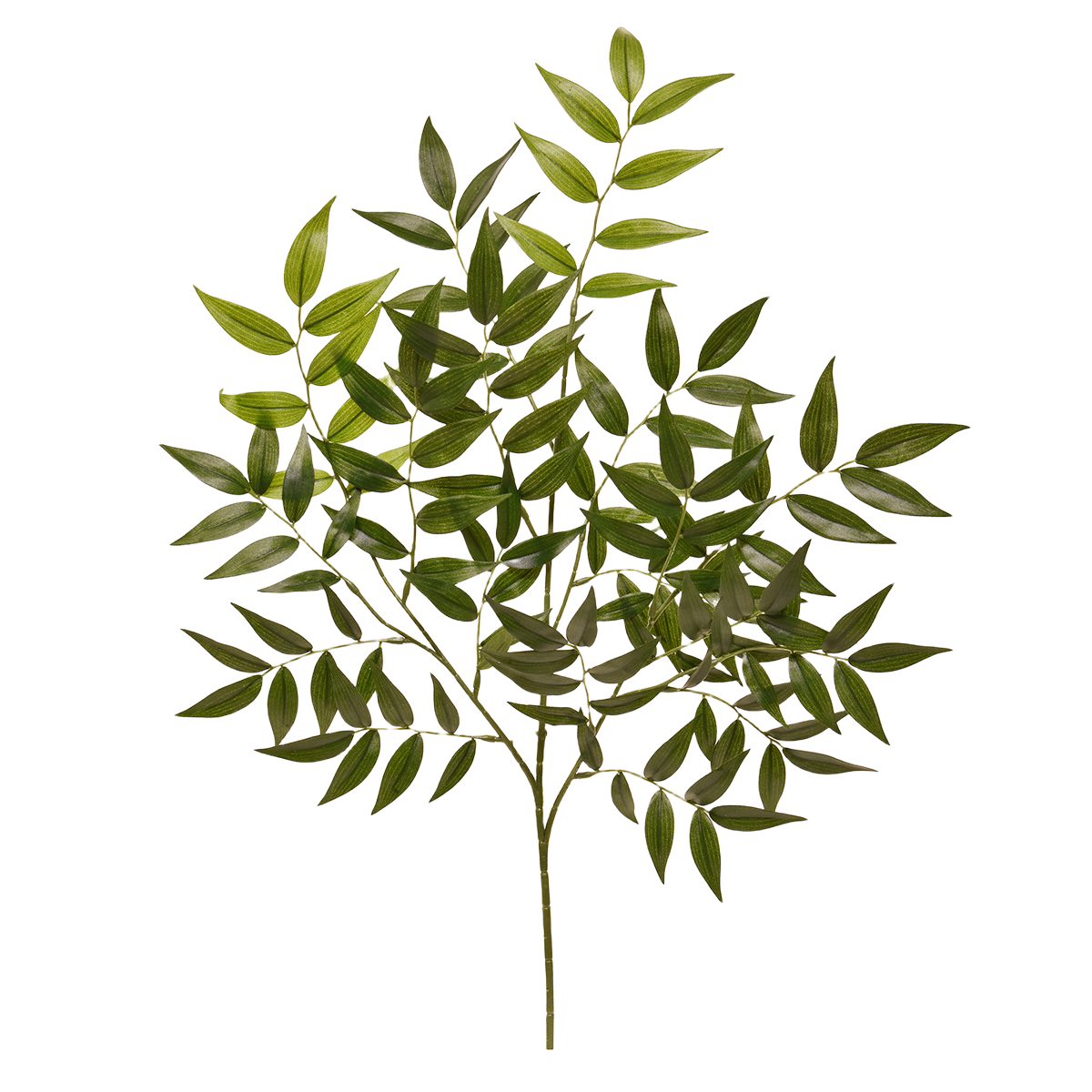 Kunst Ruscus Bladtak deluxe afbeelding