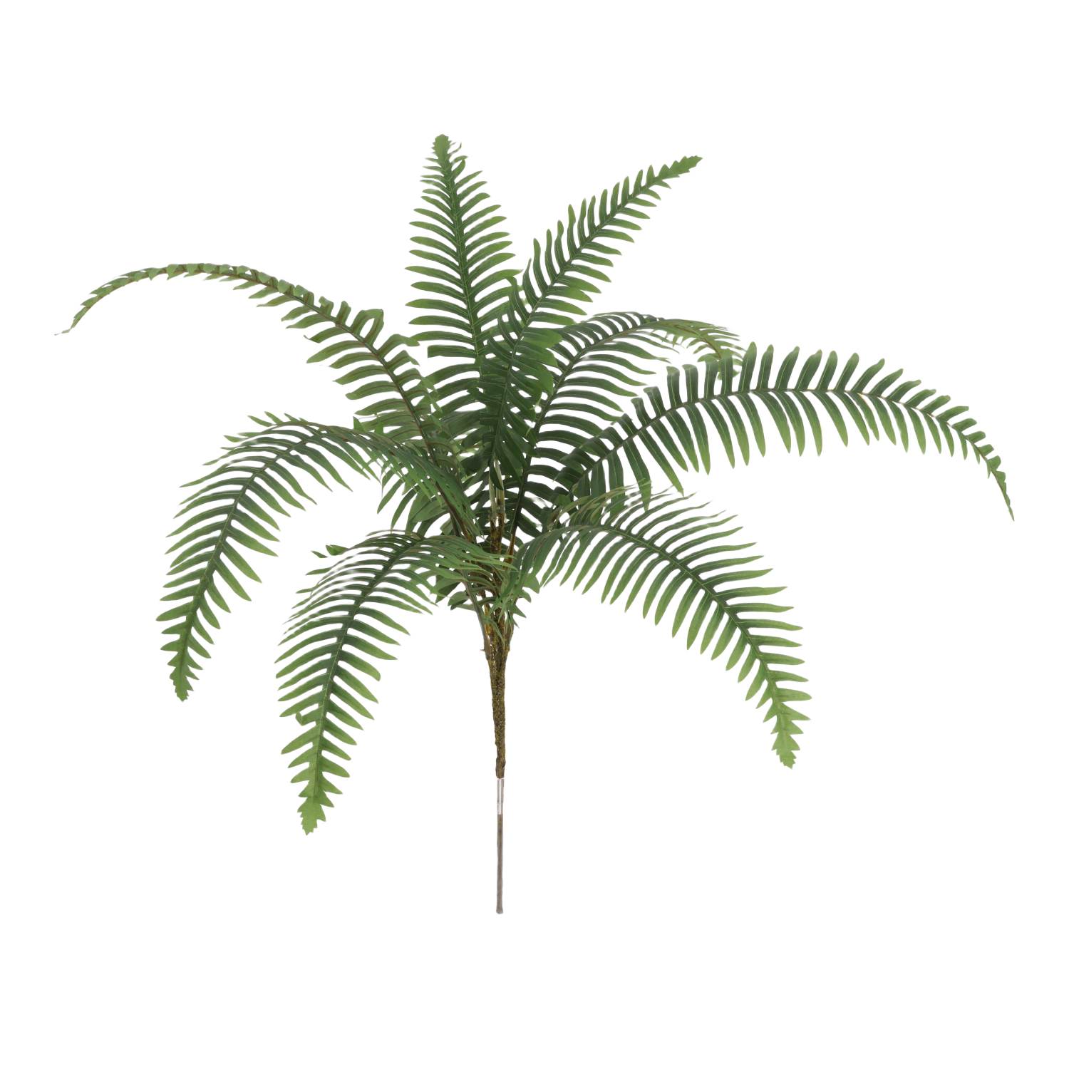 Dryopteris Kunst Varen 55cm groen