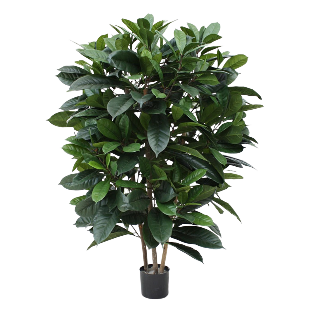 Ficus Cyathistipula deluxe kunstplant 120cm