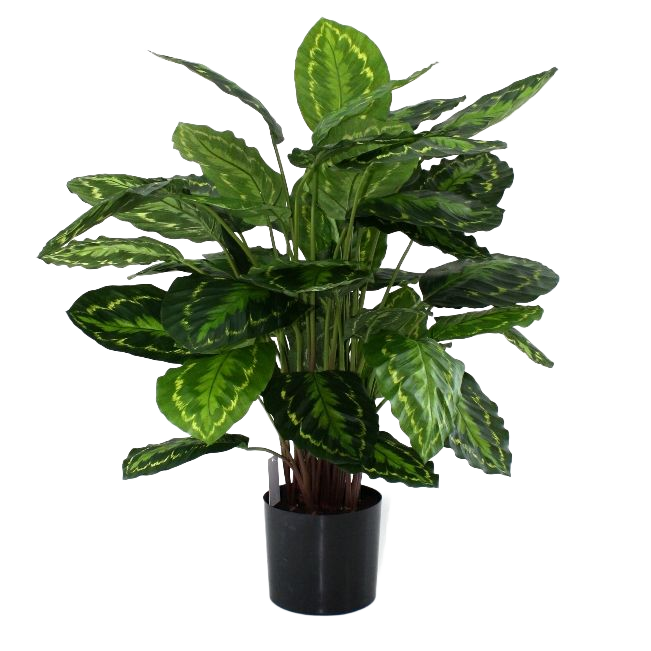 Calathea Rosea Picta kunstplant 80cm