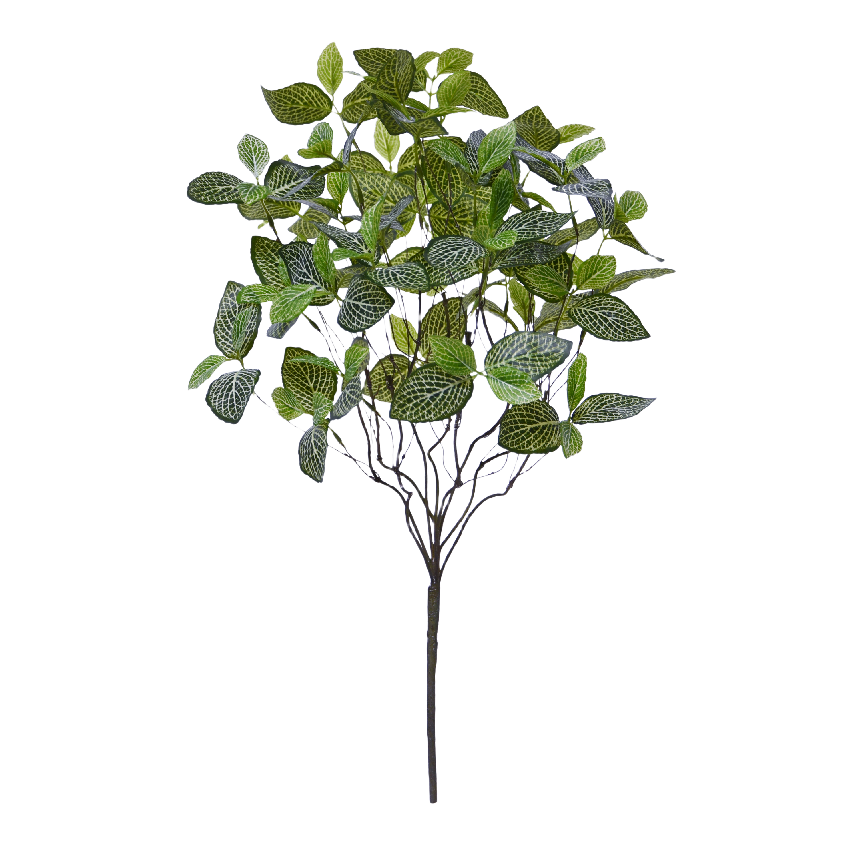 Fittonia Mont Blanc kunstplant 50cm