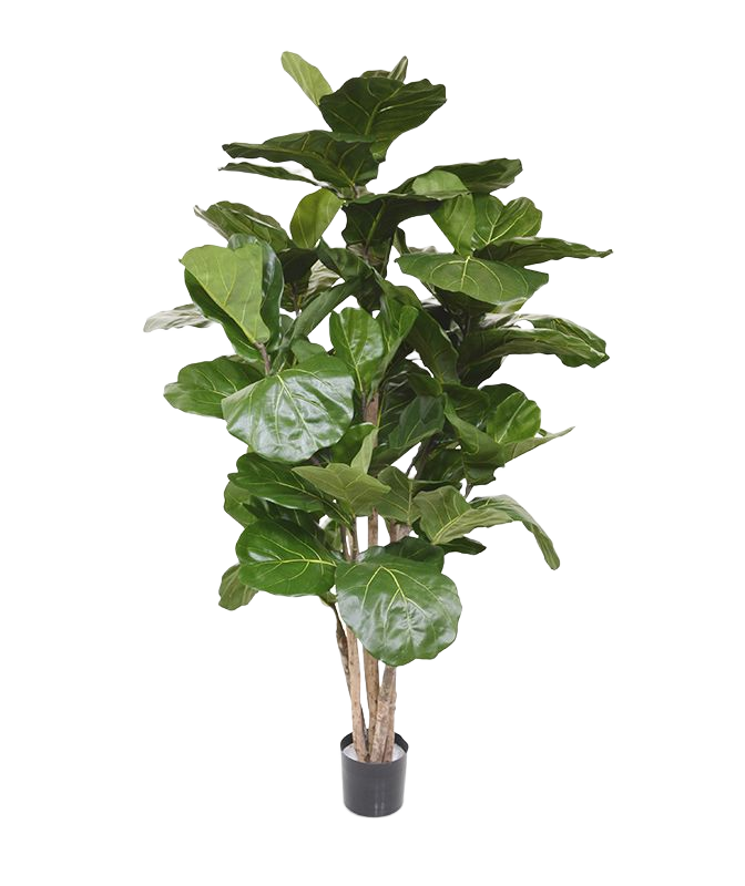 Lyrata deluxe kunstboom 170cm