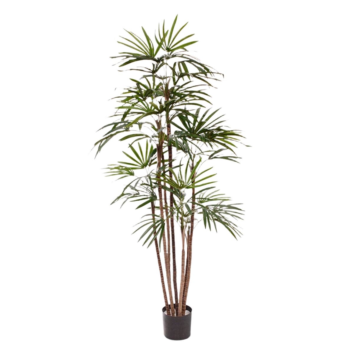 Raphis kunstpalm Promo 170cm