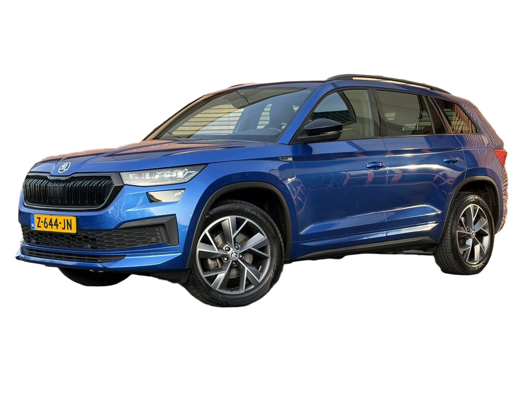 Skoda Kodiaq occasion