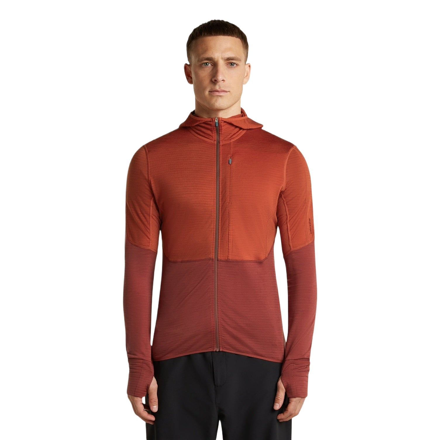 Icebreaker 200 RealFleece Descender Hoodie Heren
