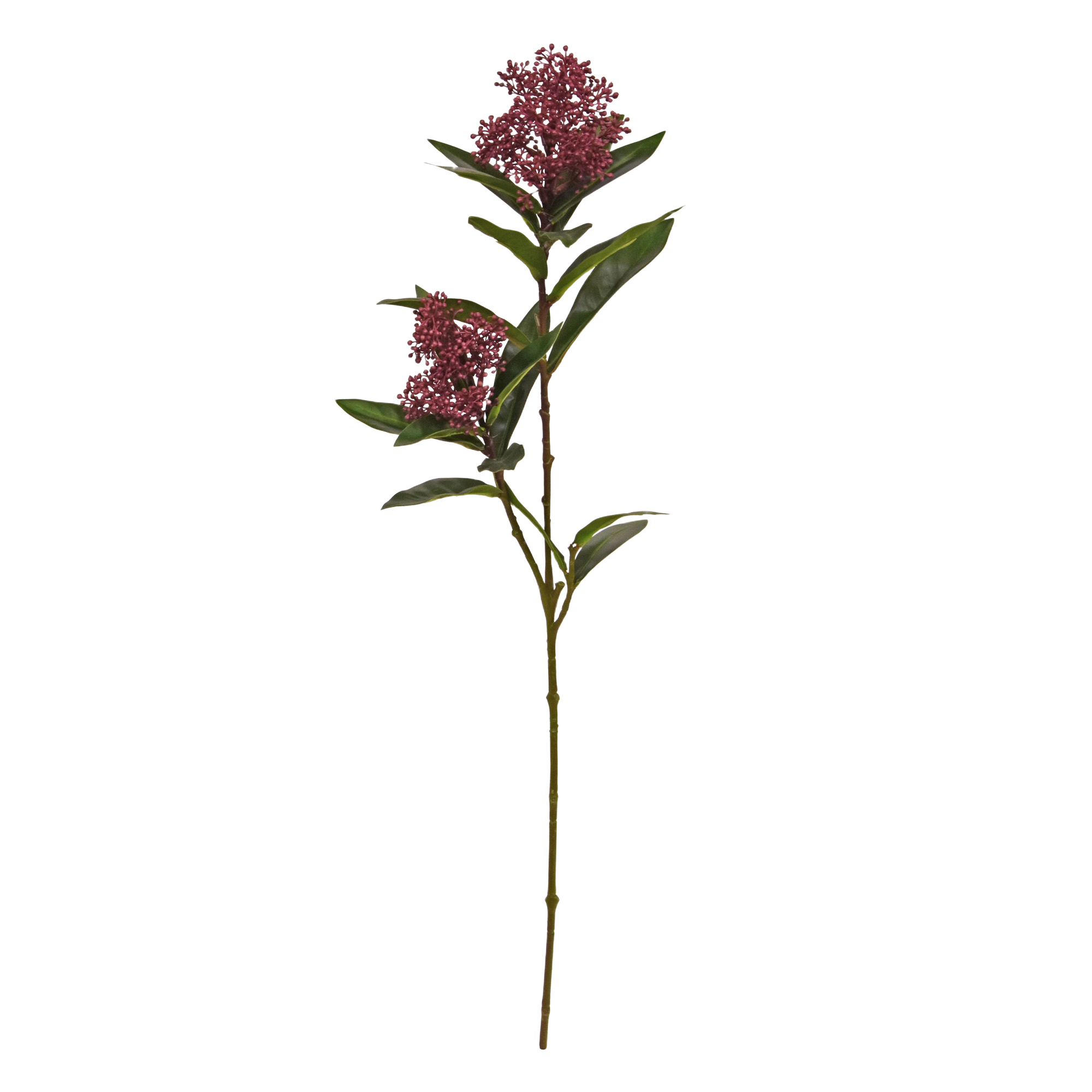 Skimmia Kunst tak 70cm Burgundy