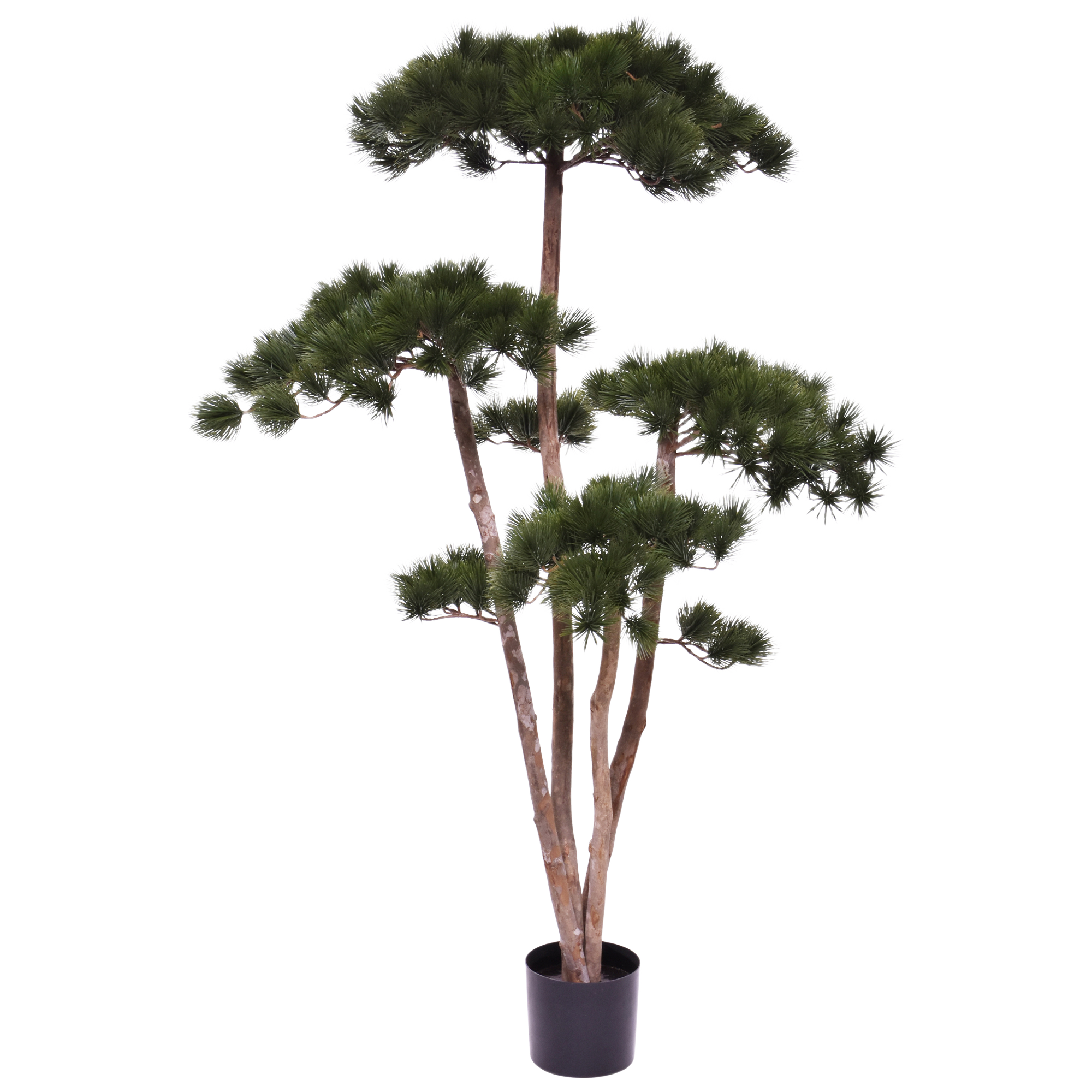 Pinus Kunst Bonsaiboom Deluxe 150cm