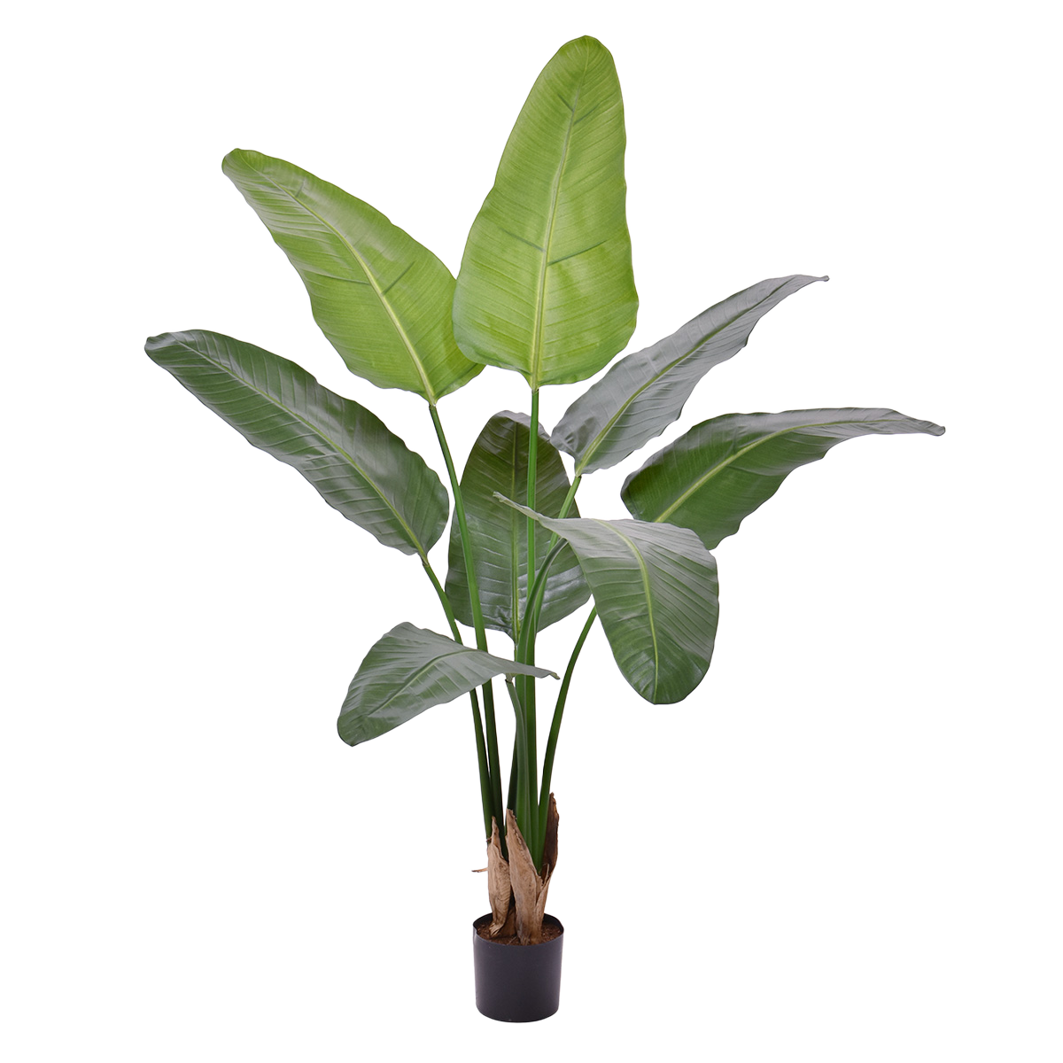 Strelitzia Nicolai deluxe Kunstpalm 125cm in pot