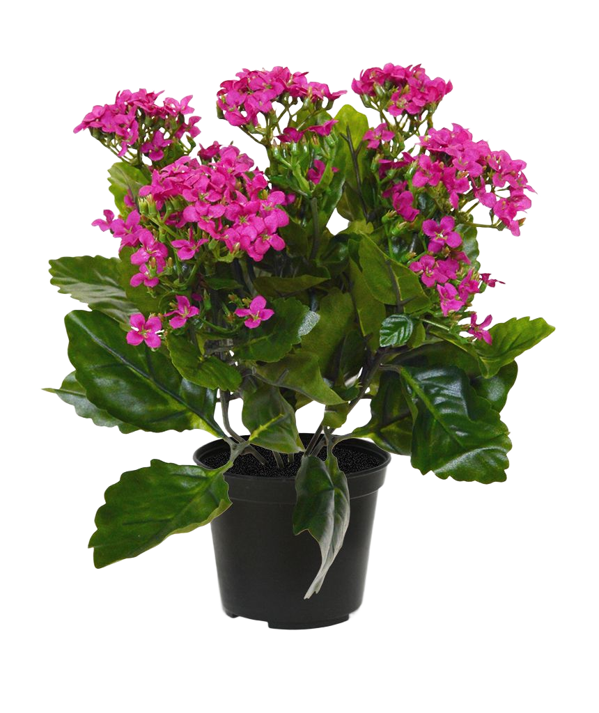 Kalanchoe kunstplant 30cm in pot - paars