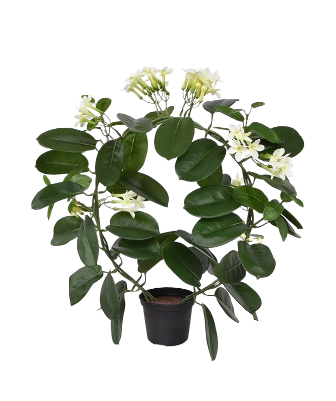 Stephanotis kunstplant 40cm