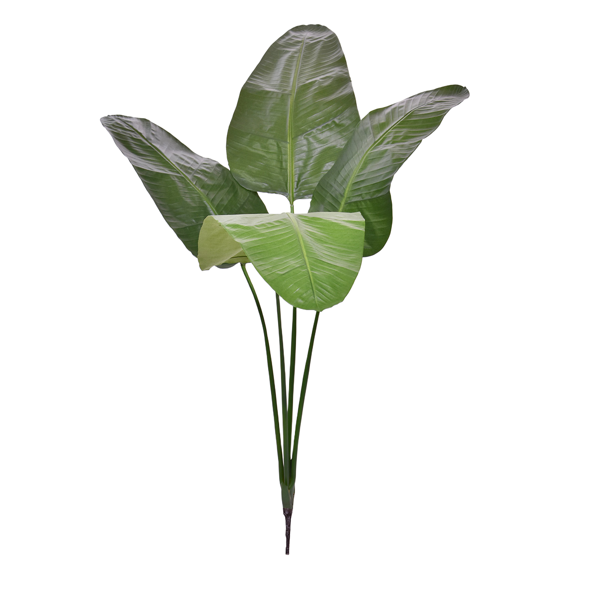 Strelitzia Nicolai deluxe Kunstpalm Bush 160cm