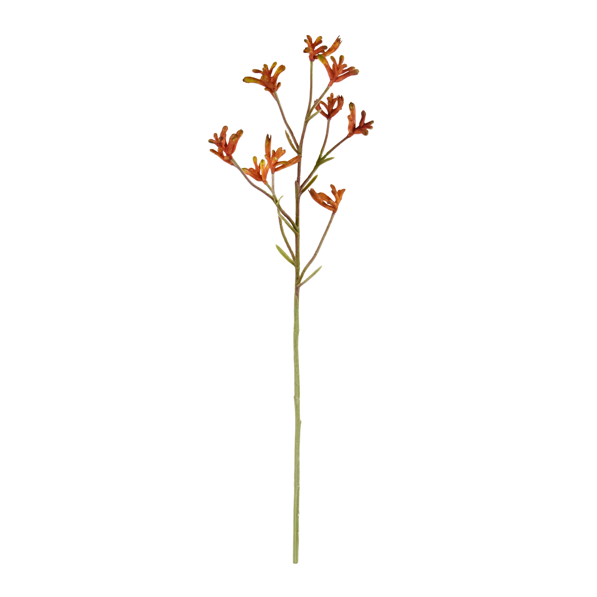 Kangaroepoot tak 70cm - oranje