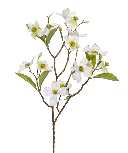 Dogwood kunsttak 50 cm creme