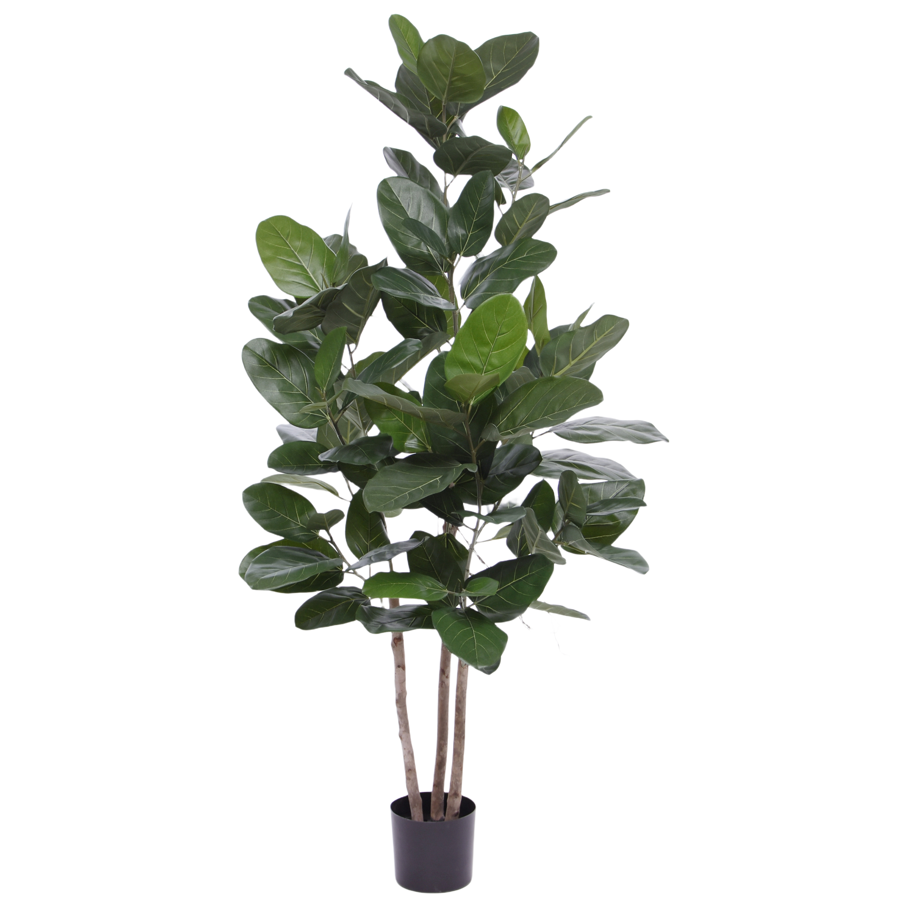 Ficus Audrey kunstplant 160cm
