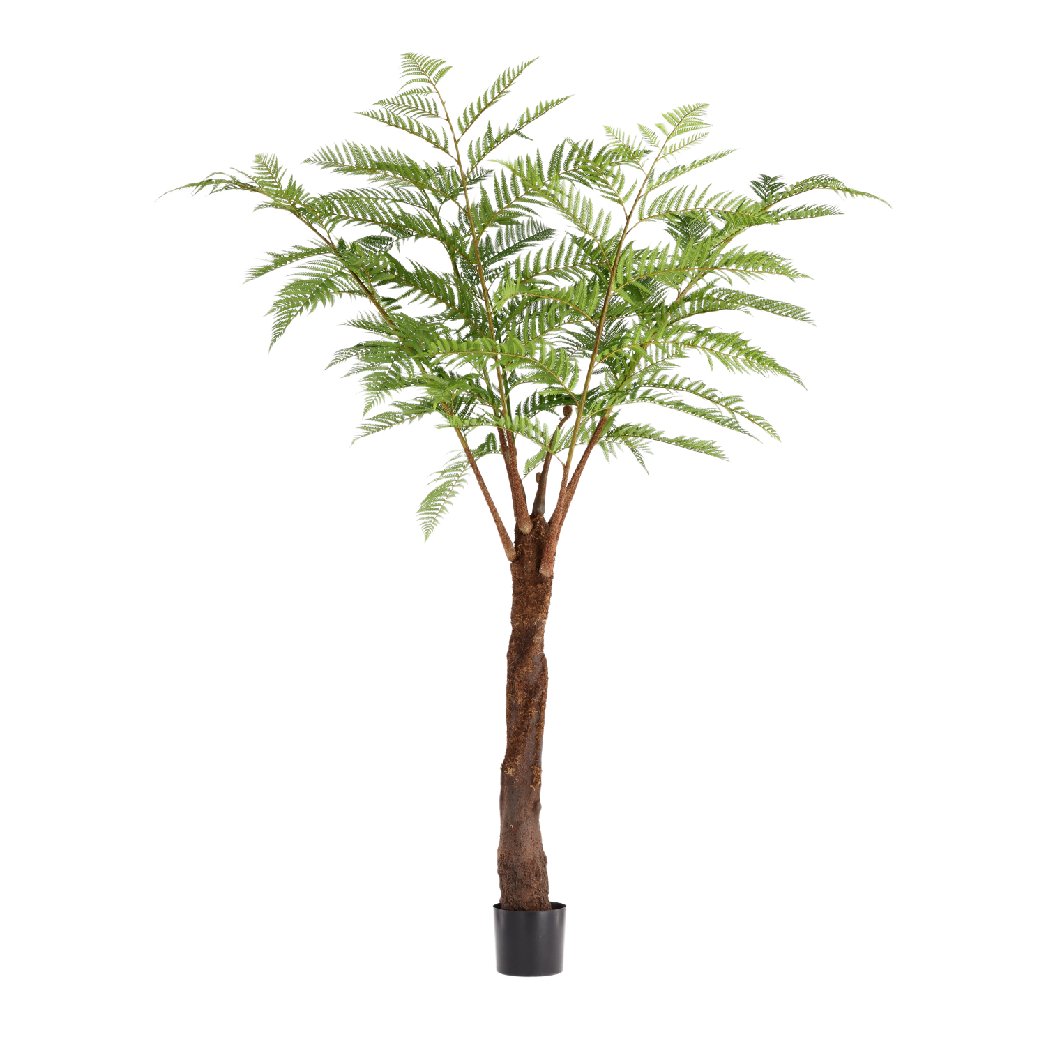 Woodwardia Kunstpalm Deluxe 220cm N