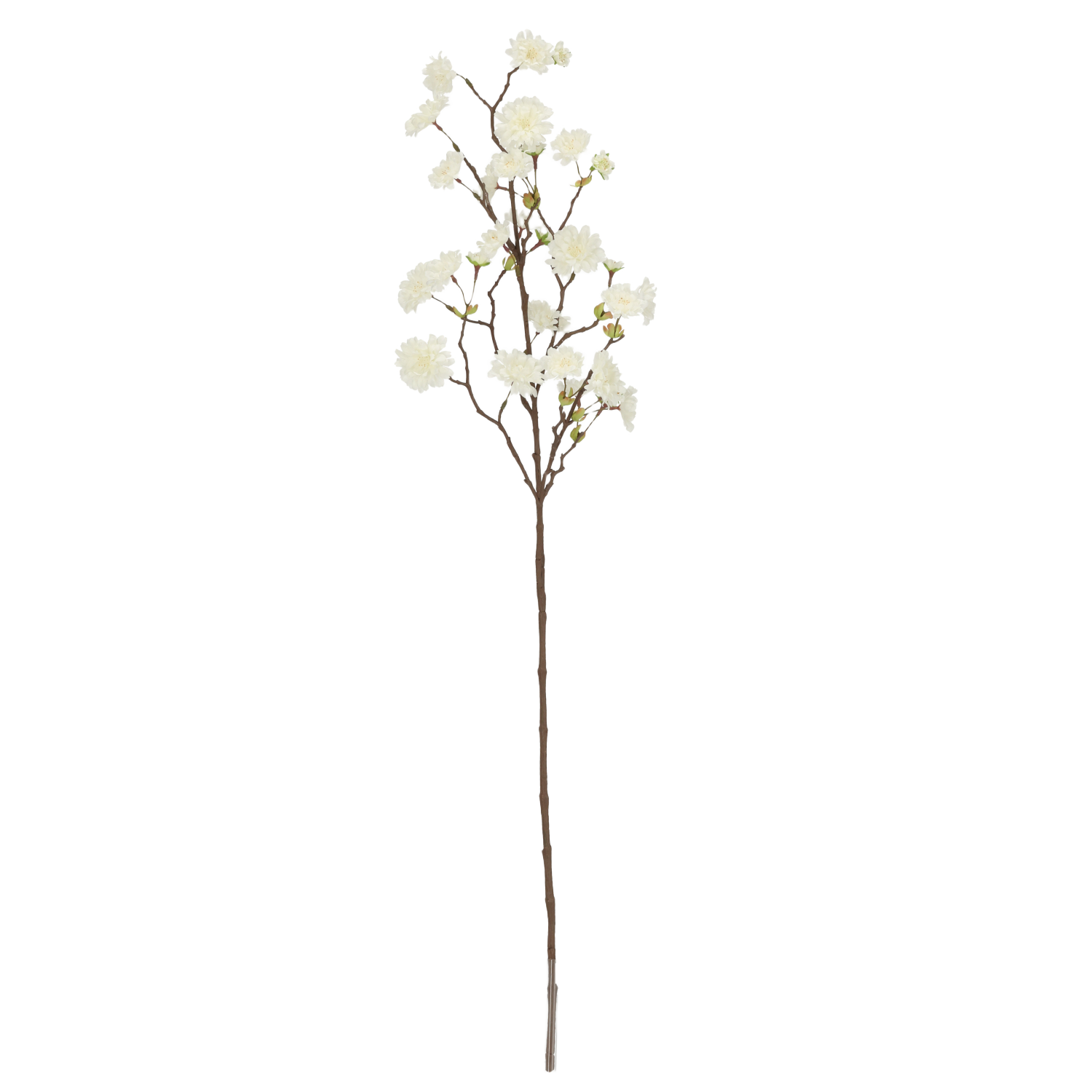 Kunst Bloesemtak 110cm Creme afbeelding