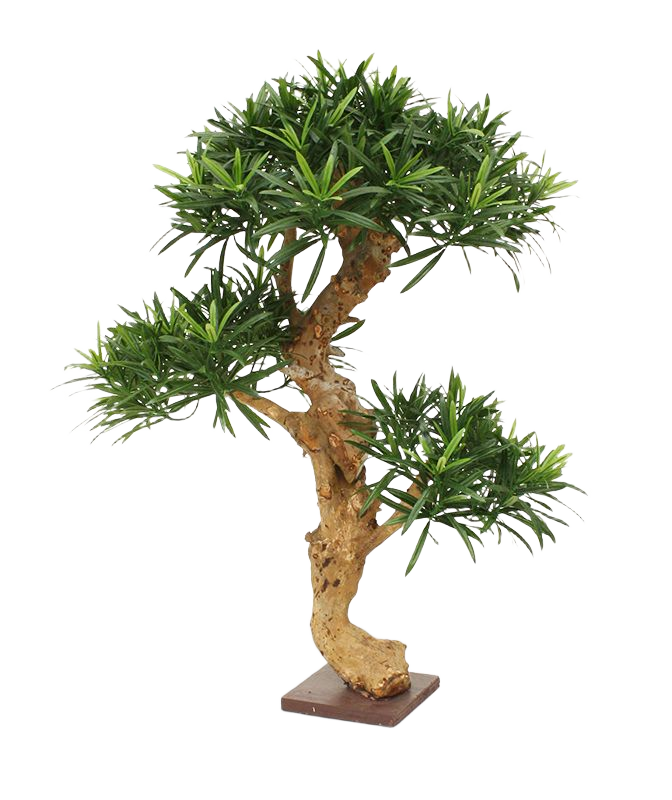 Podocarpus kunstbonsai boom deluxe op voet 65cm