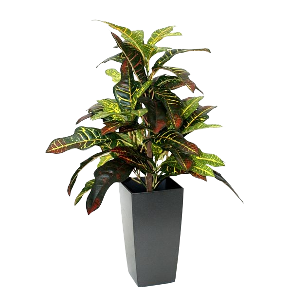 Croton Window kunstplant 50cm