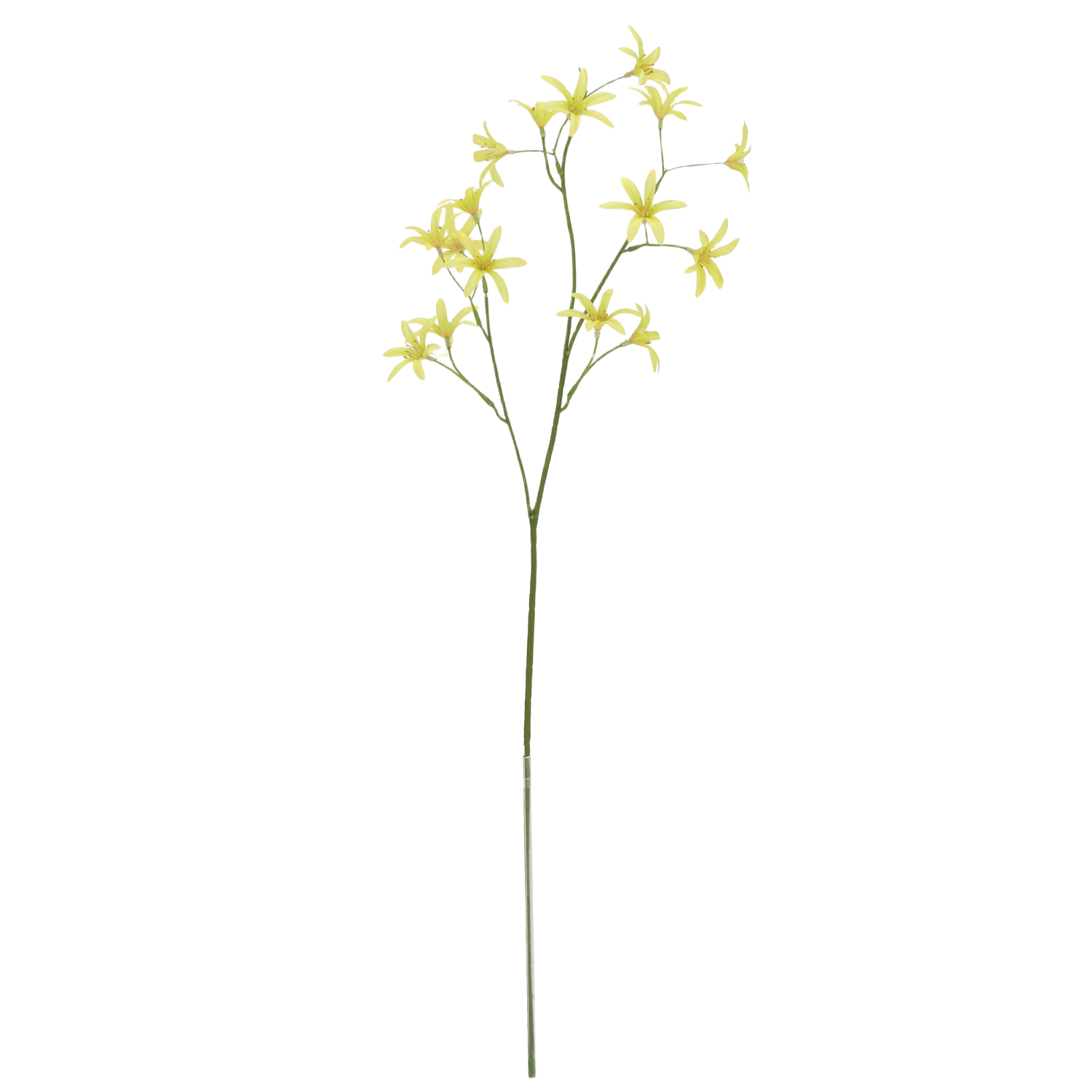 Tweedia Oxypetalum Kunsttak 68cm Groen