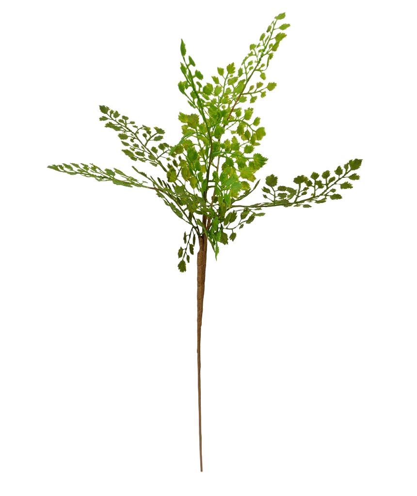 Adiantum kunsttak PL 50 cm