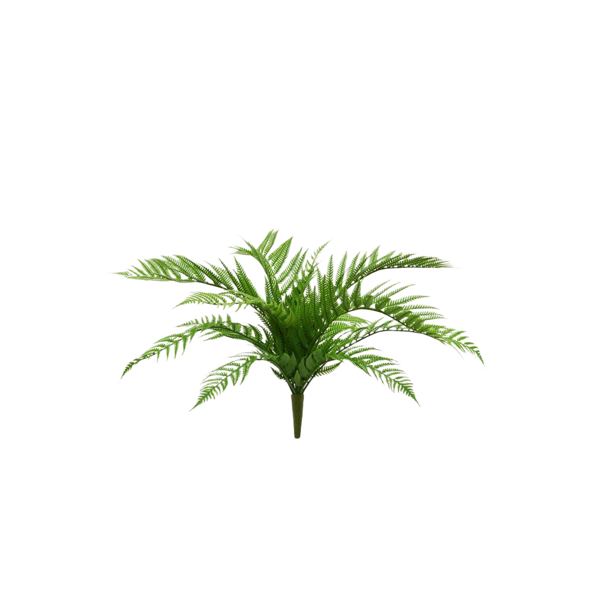 Alsophilla Varen kunstplant 60cm - UV bestendig