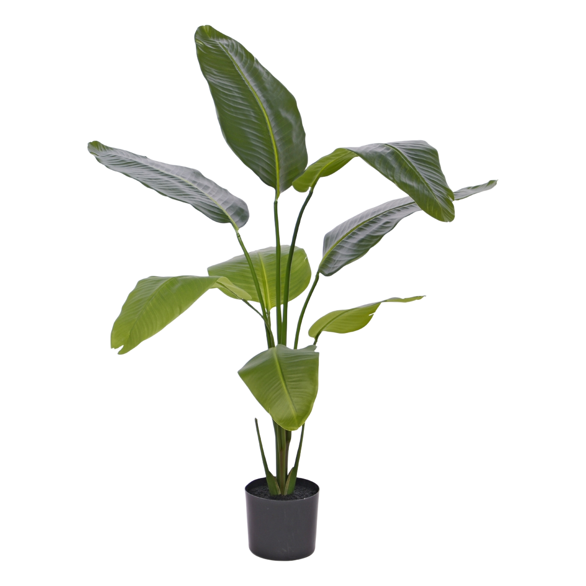 Strelitzia Nicolai kunstplant 120cm