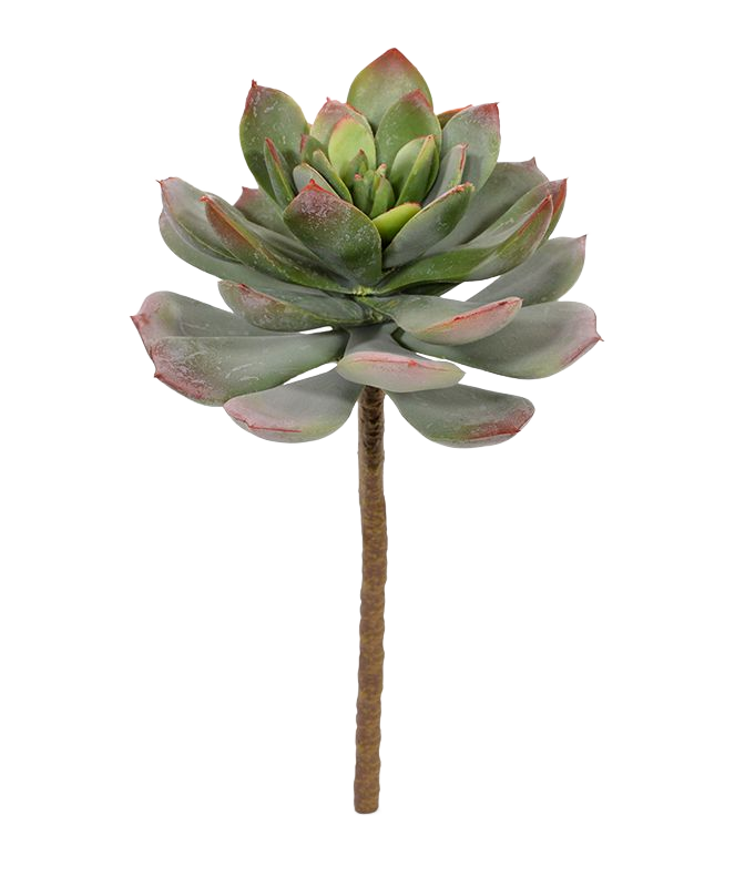 Echeveria kunstplant 25cm - groen/rood