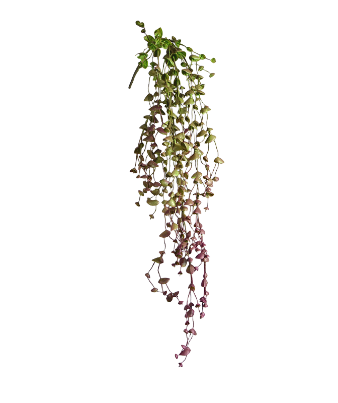 Erwten kunst hangplant 60cm - burgundy