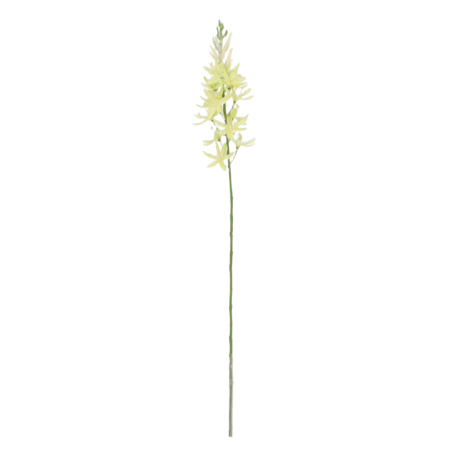 Camassia Kunsttak Creme-groen 61cm