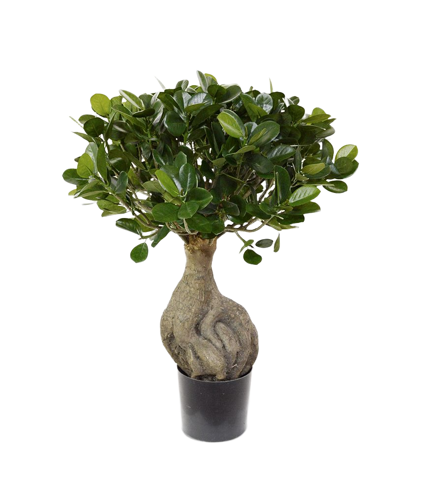 Panda Bonsai kunstboom 55cm